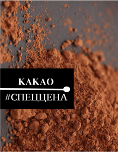 1 кг — Какао порошок алкализованный темный | Dulcistar Италия