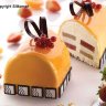 Буше Гранде силиконовая объемная форма для торта тортафлекс 3D | Silikomart BUCHE Tortaflex 3D (в пакете)